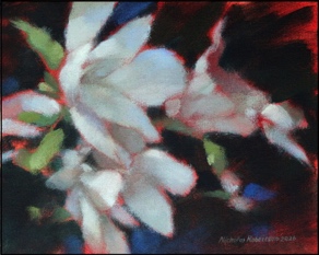 Magnolias 20&middot;25
&pound;POA